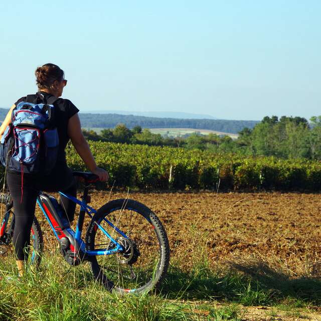 Boucle cyclable n°19 - des Vieilles Vignes