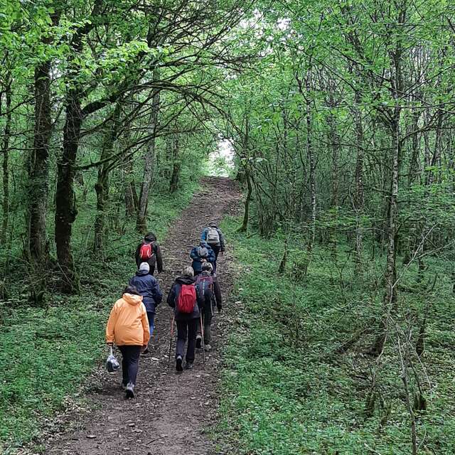 Circuit pédestre de Fontenelay