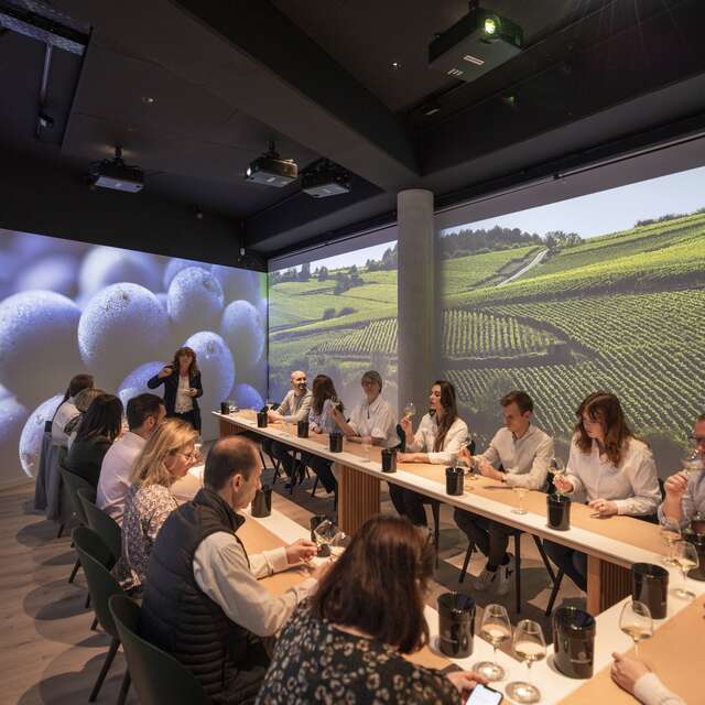 Ecole des Vins - Atelier immersif : Initiation à la dégustation