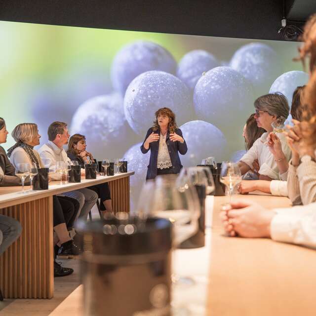 Ecole des vins - Atelier immersif : Accord mets et vins