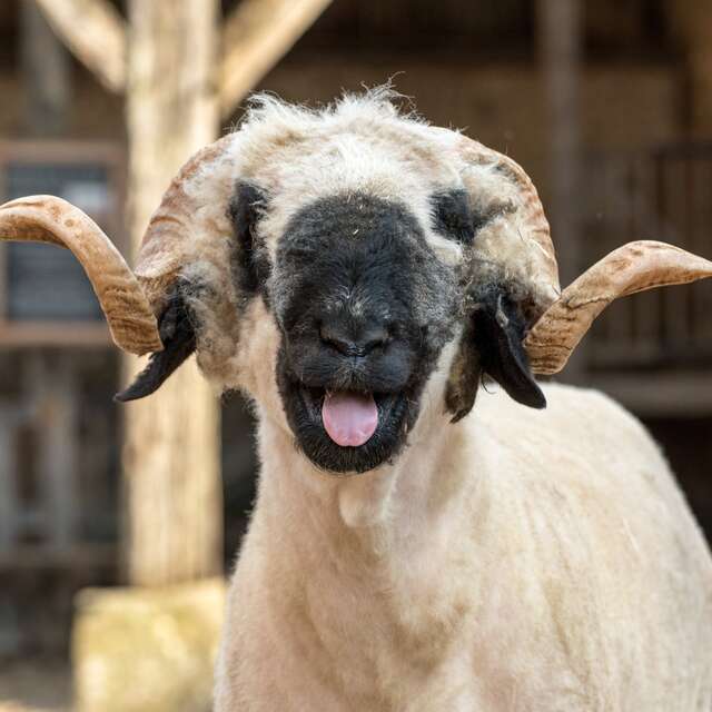 La ferme du Château