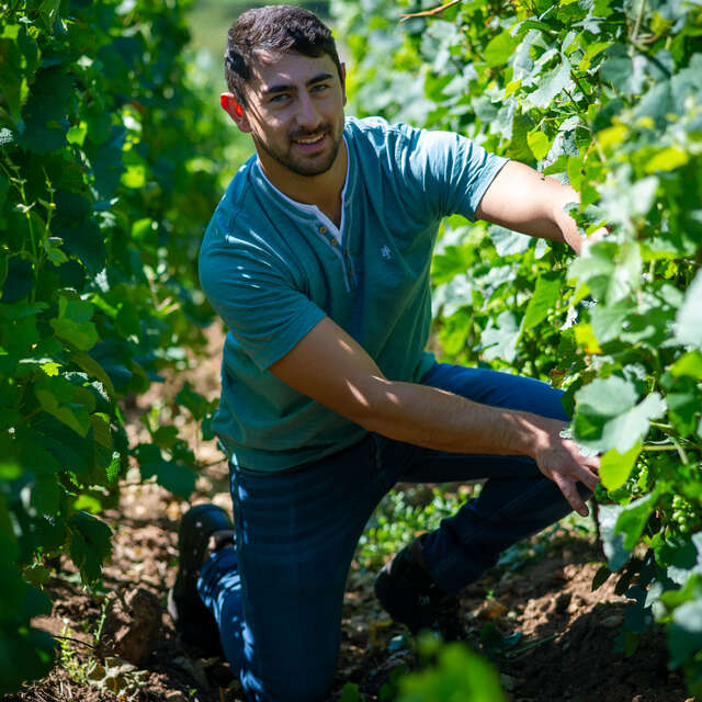 Vincent ROYET - Grands Vins de Bourgogne