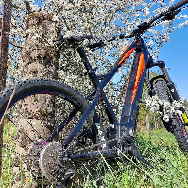 VTT dans les Monts de Gy : Circuit 58 "Le Captiot"