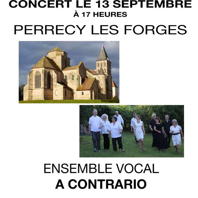 Ensemble vocal A Contrario