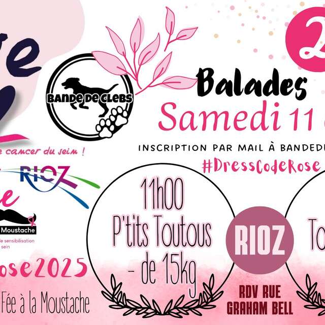 2 balades canines à Rioz avec Bande de Clebs le 11/10