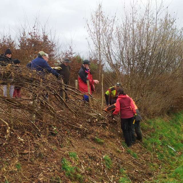 Le Mois de la Plèchie - Roussillon-en-Morvan
