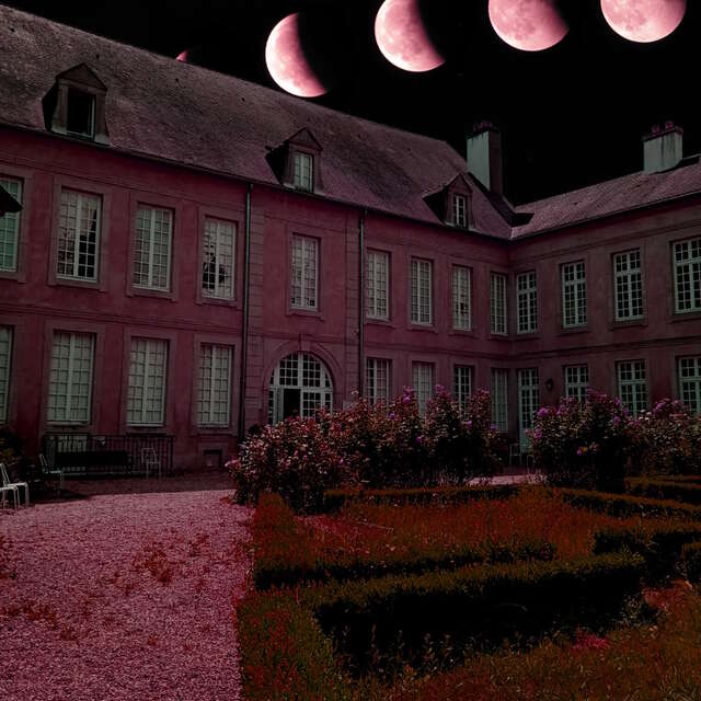 Nuit Européenne des musées : Muséum en couleurs