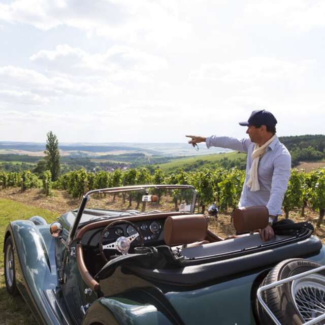 Wine Tour : Dégustation parcellaire au coeur des vignobles de Bourgogne