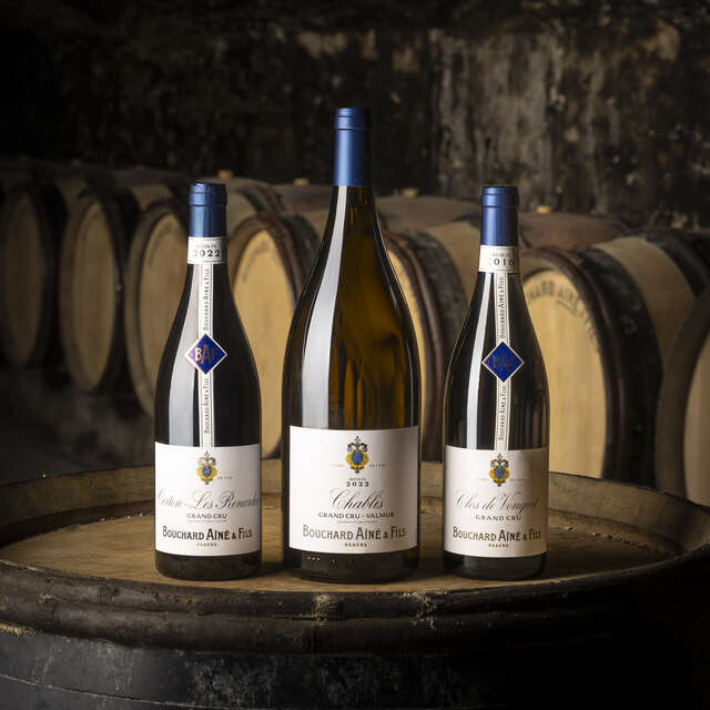 Bouchard Ainé & Fils - Dégustation spéciale Vente des Vins 2025 (9 vins dont 3 Grands Crus)
