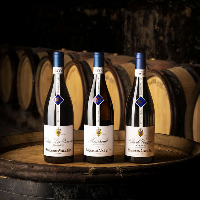 Bouchard Ainé & Fils - Visite des caves & dégustation spéciale Vente des Vins 2025 (9 vins dont 3 Grands Crus) - Beaune
