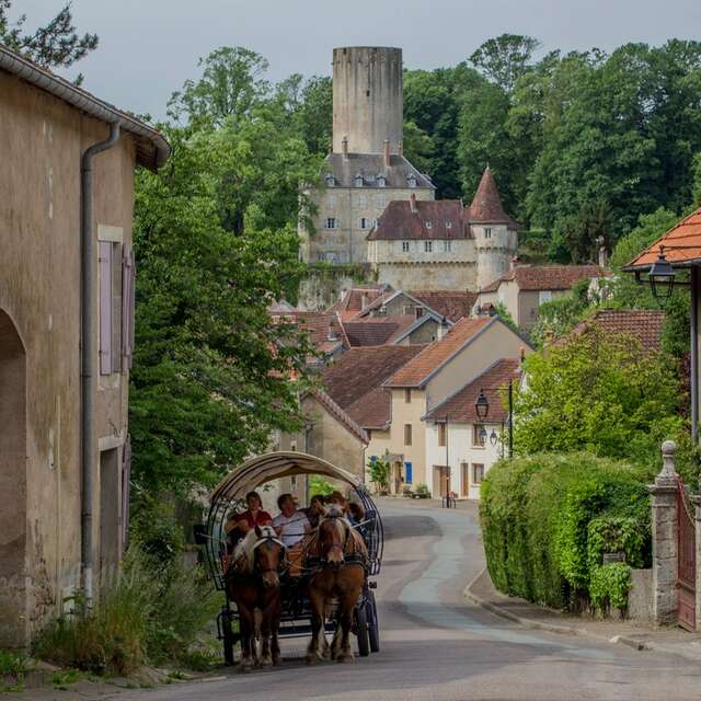 Balade en Calèche