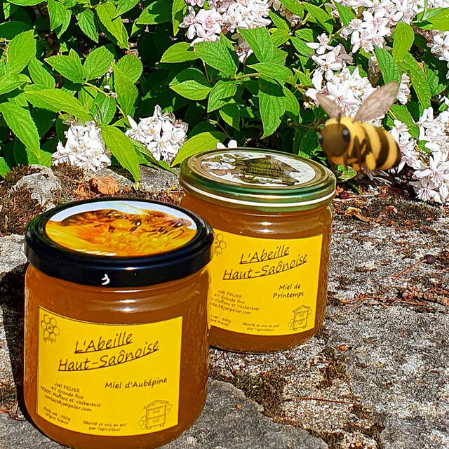 L'Abeille Haut-Saônoise