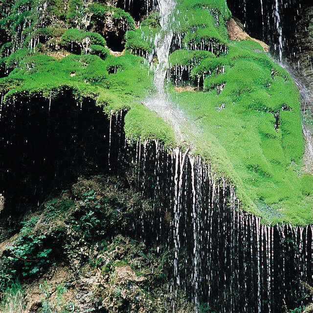 Cascade du Cirque du Bout du Monde
