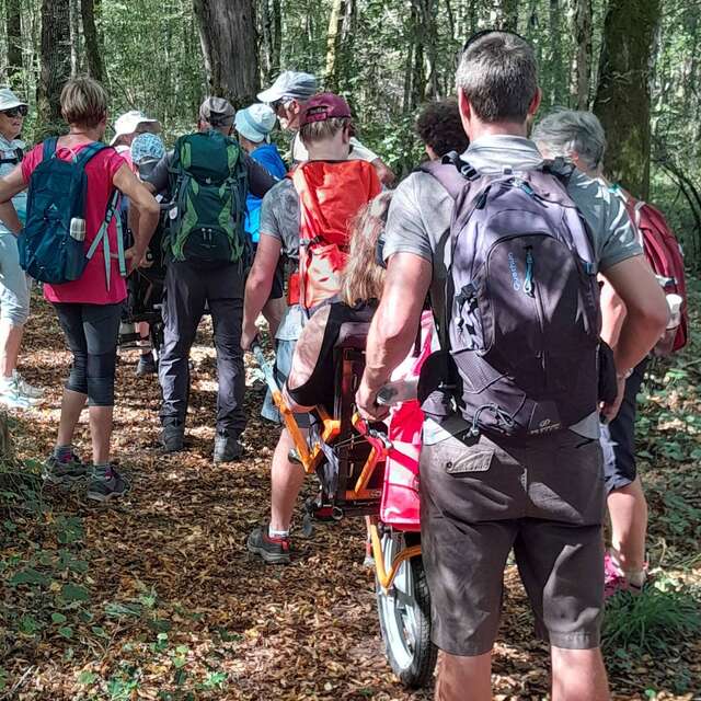 Marche au profit de l'association "Petits princes"