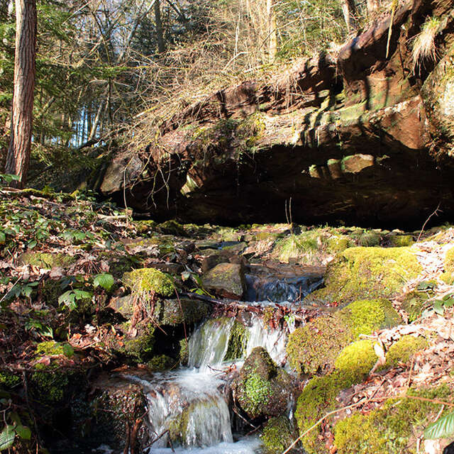 Sentier de decouverte des pierres-de-rouge