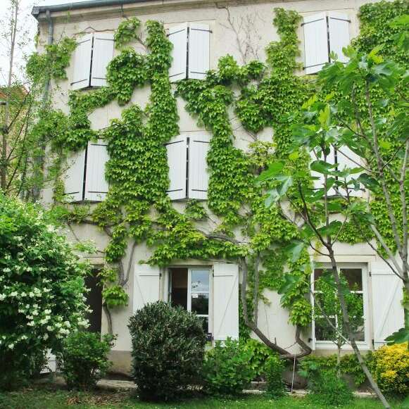 La Villa Saint-Georges