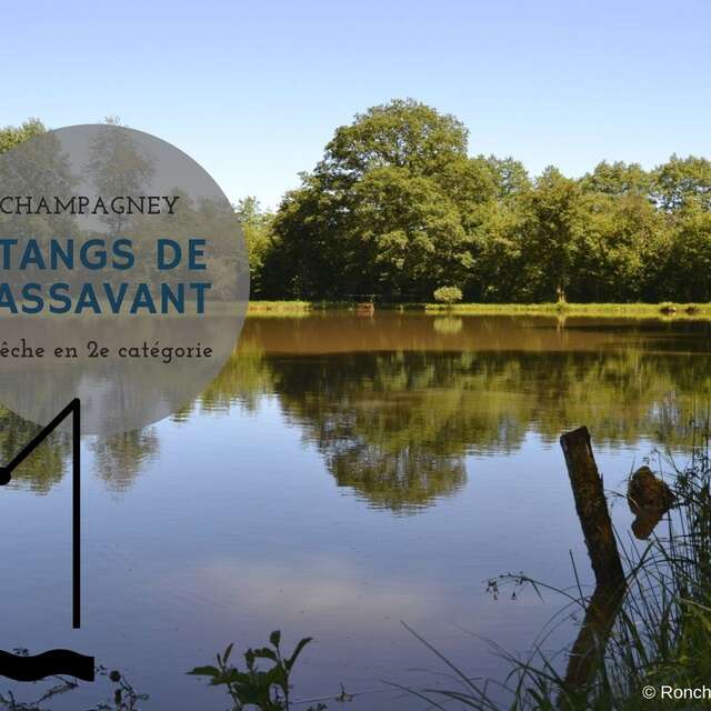 Etangs de Passavant