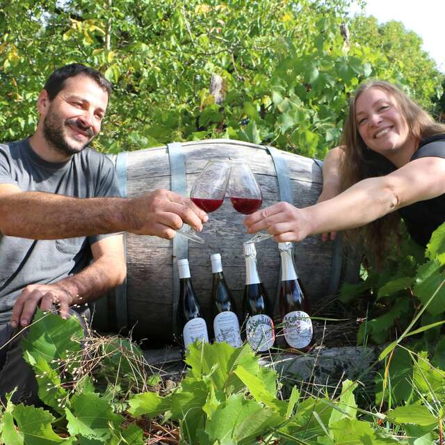 Vignoble Vincent Cheviet à Bucey les Gy