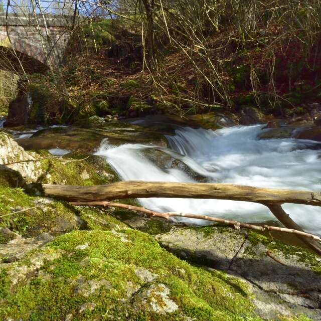 Le Maillebourg