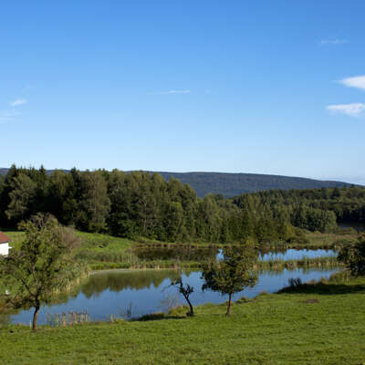 La Ferme des Guidons