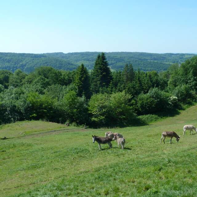 Le Pré d'Oro