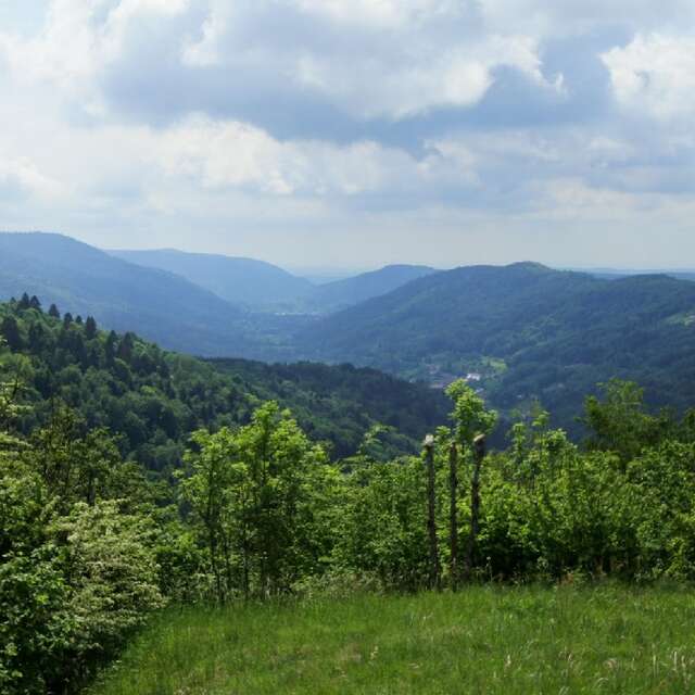 Le Sentier des écoliers