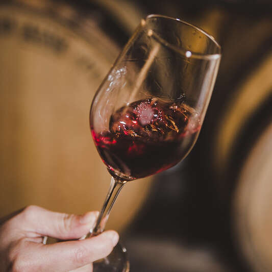 Maison Bouchard Aîné & Fils - Visite "Bacchus"
