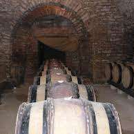 Domaine viticole de Motey-Besuche