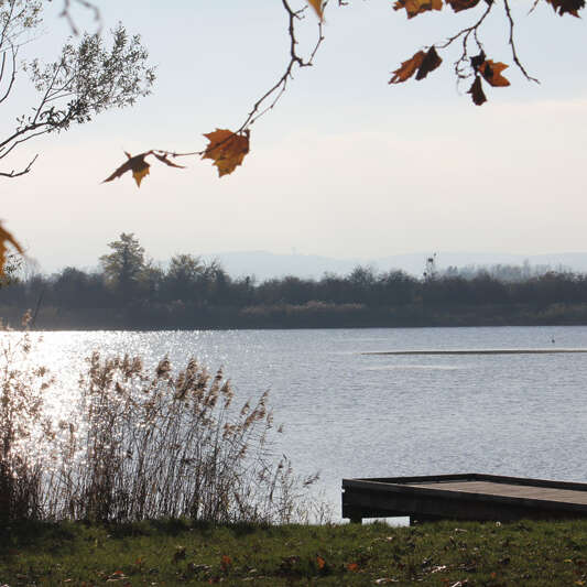 Les Etangs d'Or - Parc Eco Loisirs de Merceuil Tailly