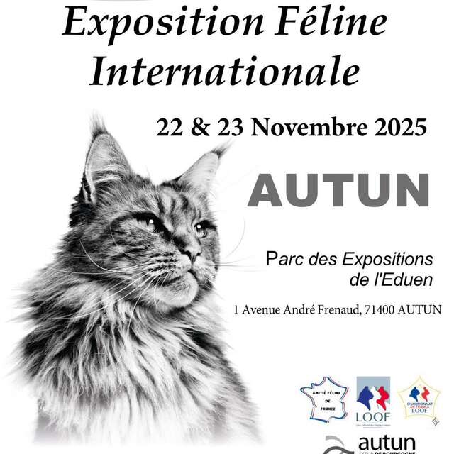 Exposition Féline Internationale d’Autun