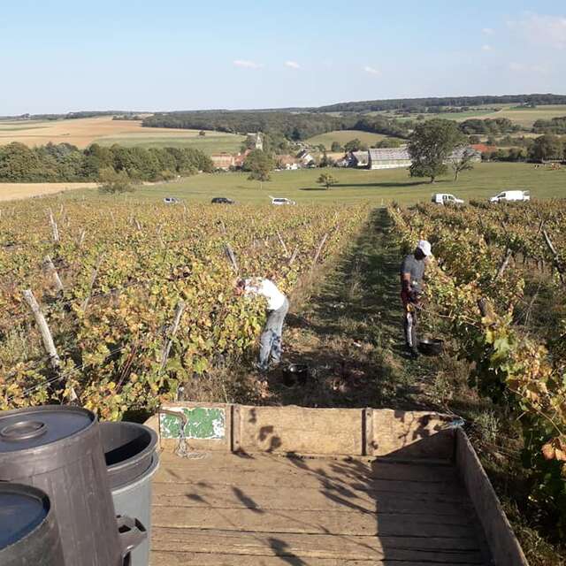 Les coteaux d'Hugier