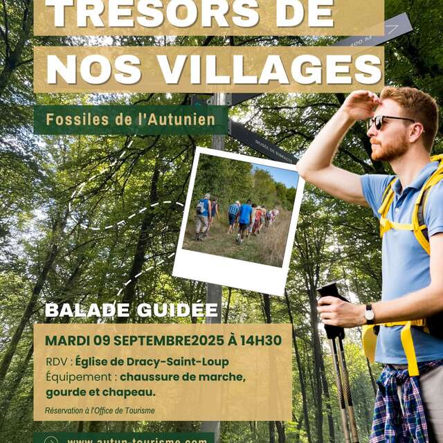 Trésors de nos villages - Fossiles de l'Autunien