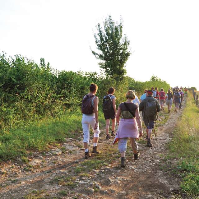 Le panoramique de la Vallée de la Saône