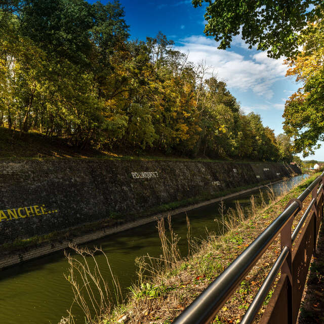 Visite guidée de la tranchée de Génelard