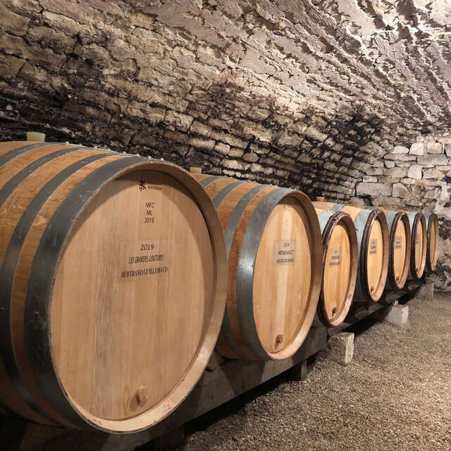 Domaine Guillemaud Bertrand