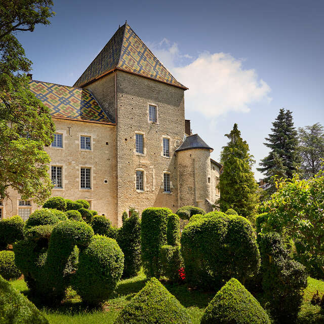 Visite dégustation spéciale Vente des Vins 2025 au Domaine du Château Philippe le Hardi