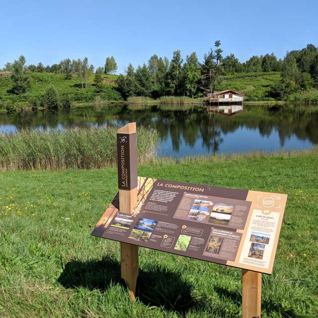 Entre étangs et prairies