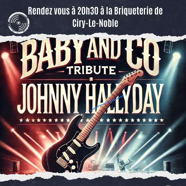 Concert "Tribute Johnny Hallyday"