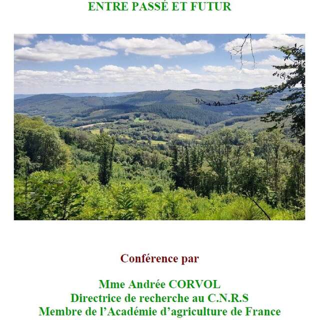 La foret Morvandelle - entre passé et futur