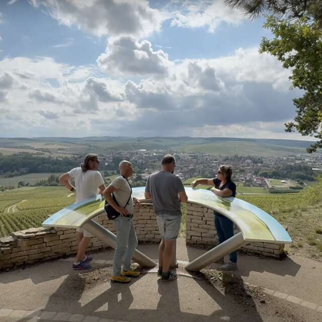 Vititours - Excursions dans le vignoble