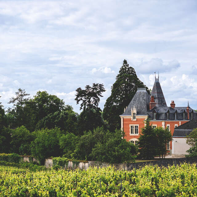 Château Albert Morot