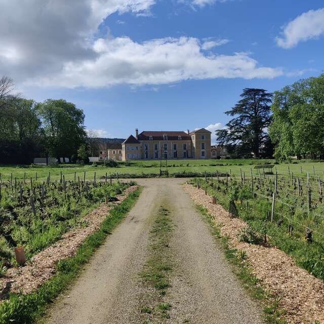 Château de Meursault - Dégustation "Vente des Vins 2025"  de 6 vins de la Côte de Beaune