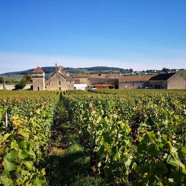 L'Atelier Escoffier au Clos du Moulin aux Moines