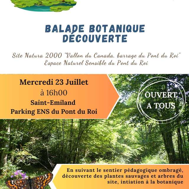 Balade botanique découverte