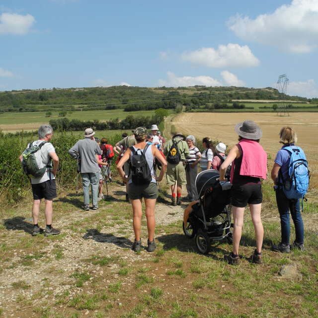 Balade d'été