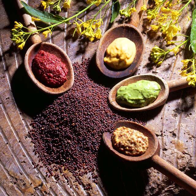 Atelier de création de la véritable moutarde à Dijon "Les yeux bandés"