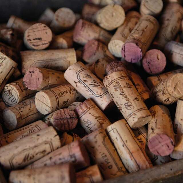 Circuit privatisé 1/2 journée - Côte de Nuits, Au paradis du Pinot noir - Matin