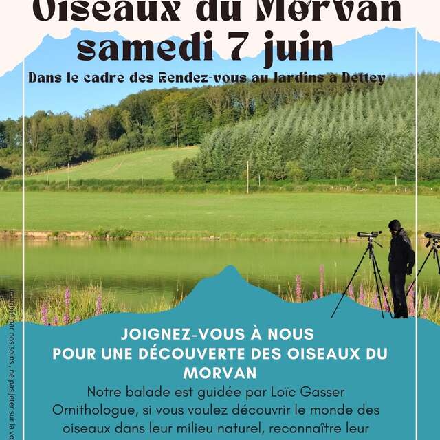 Balade ornithologique
