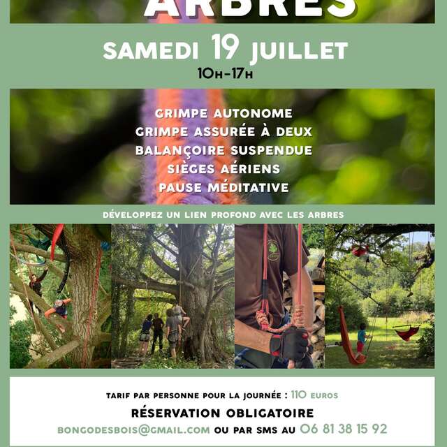 Ballad'Arbres - Grimpe et exploration dans les arbres