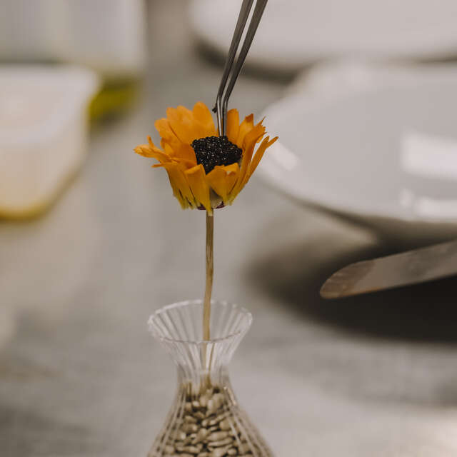 Erre - Domaine du Roncemay